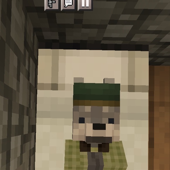 user16462444